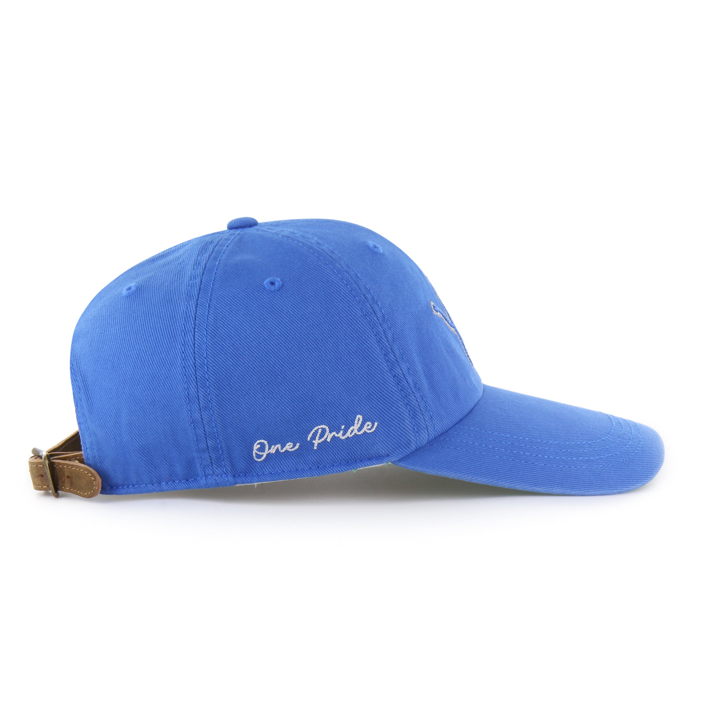 DETROIT LIONS CHAIN SIDE STITCH '47 CLEAN UP LONG VISOR