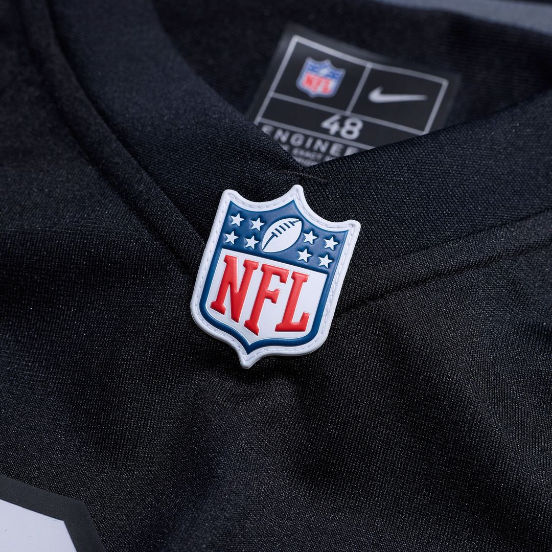 Dylan Laube Las Vegas Raiders Nike Team Game Jersey -  Black